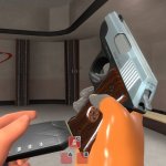 Pistol