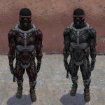 Crysis Combine