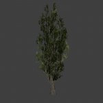 st_derevo_01